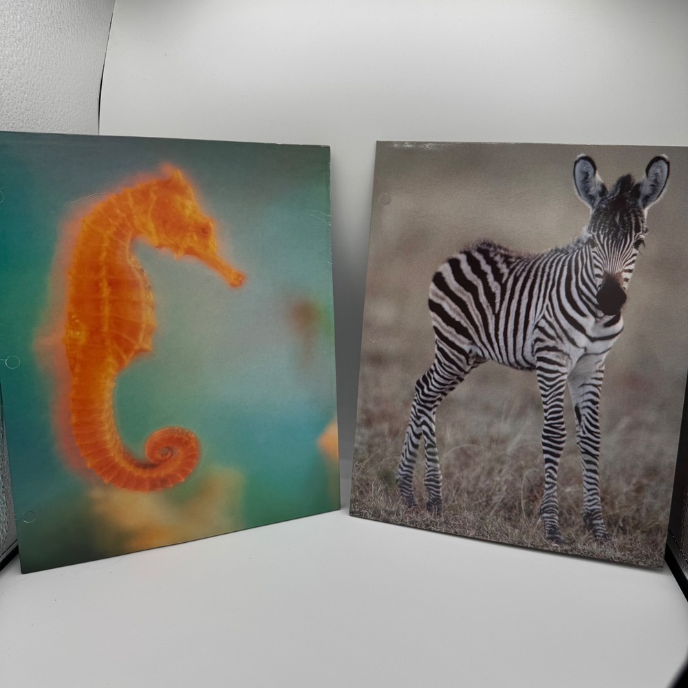 Vintage Norcom 2 Pocket Folders Set Seahorse and Zebra Animal School Supply